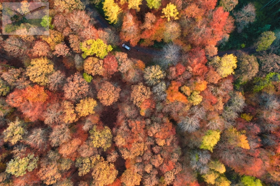 19Nov19-Eppelborn-44